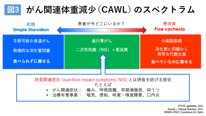 第4回日本がんサポーティブケア学会 がん悪液質ハンドブック に書けなかった重要なこと がんプラス