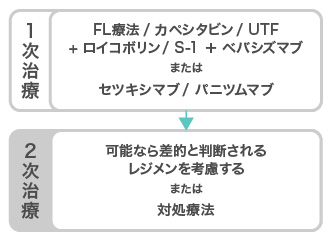FL療法/カペシタビン/UTF+ロイコボリン/S-1+ベバシズマブまたはセツキシマブ/パニツムマブから開始