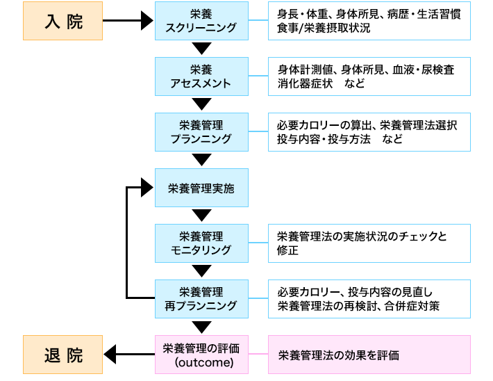 図2. NSTの活動内容